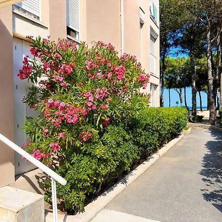 Appartamento T2 Charmant, Vue - 2 Pers. - Fr-1-388-263 Argelès-sur-Mer